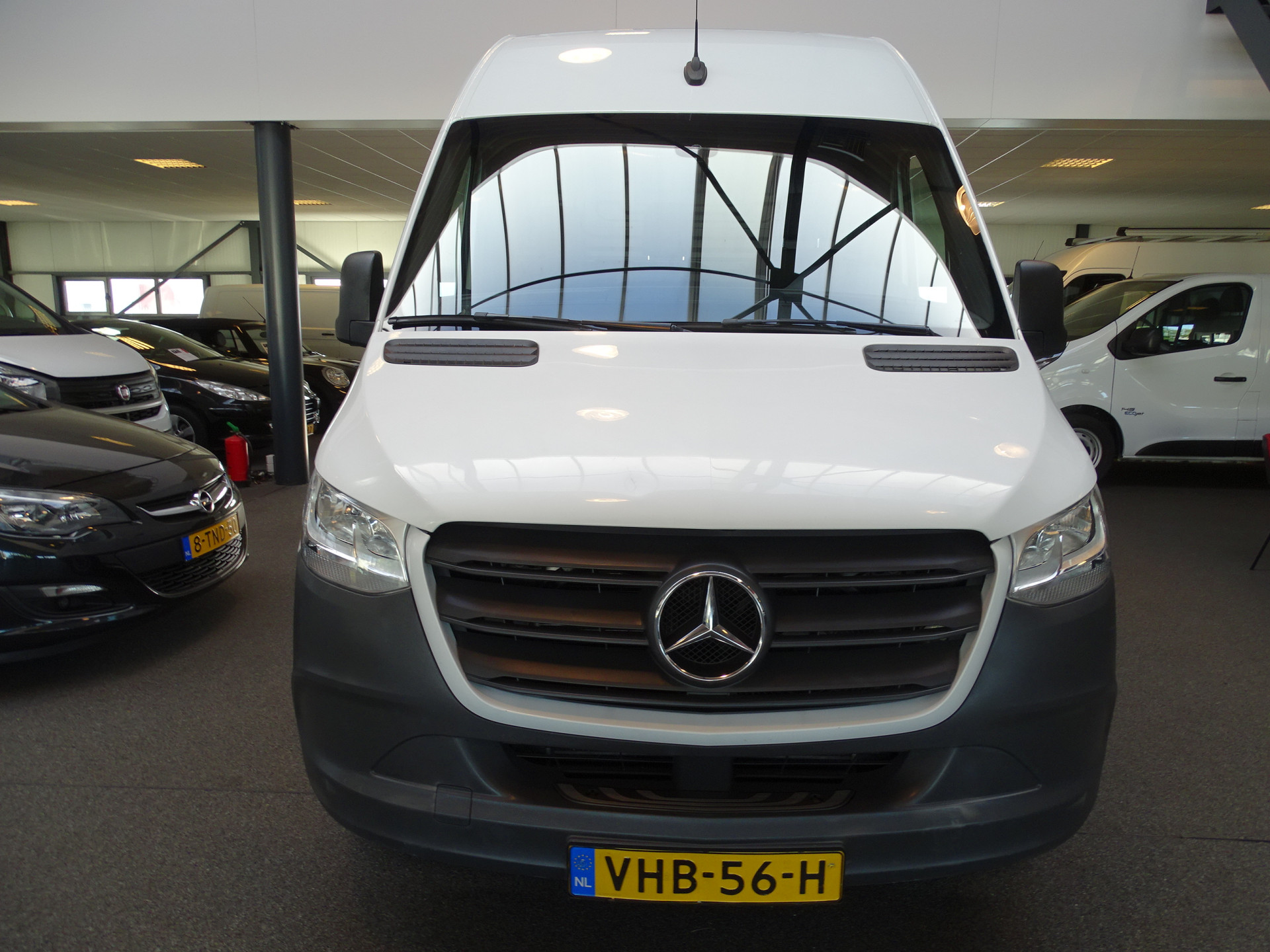 40802049-7.jpg